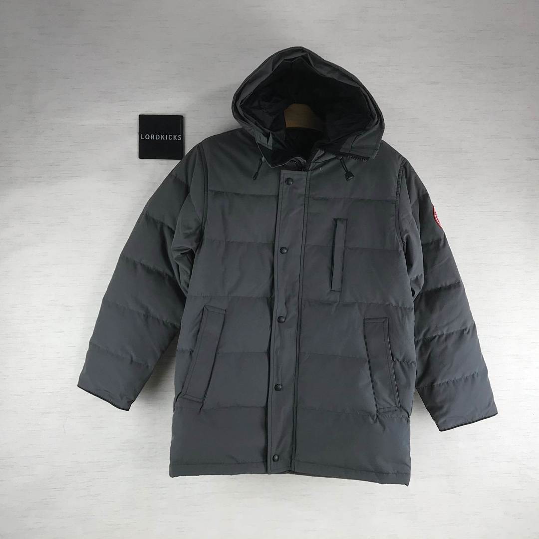 DE79 Canada Goose, photo 1
