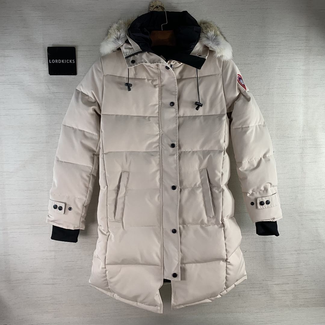 DE269 Canada Goose, photo 1
