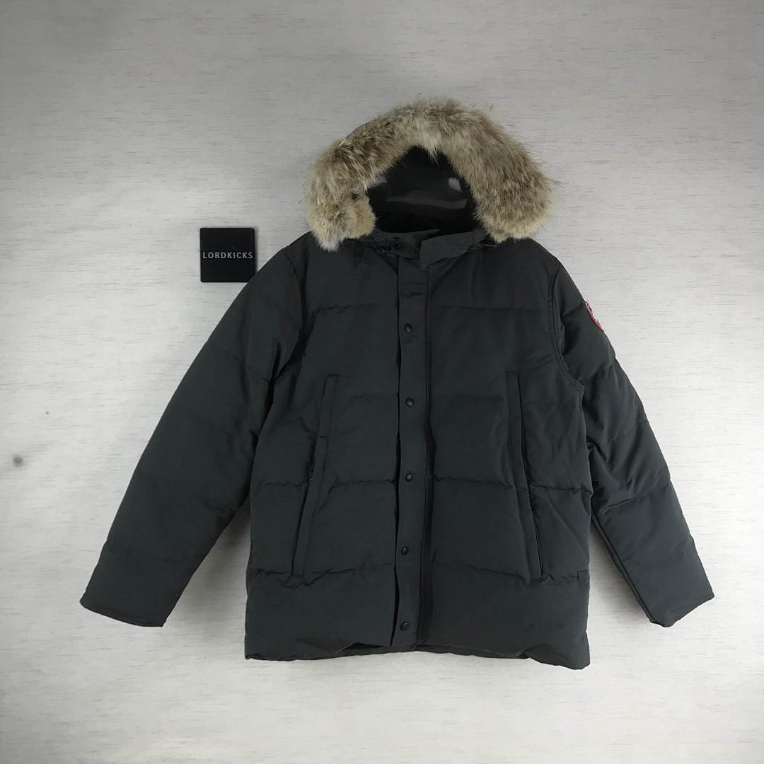 DE103 Canada Goose, photo 1