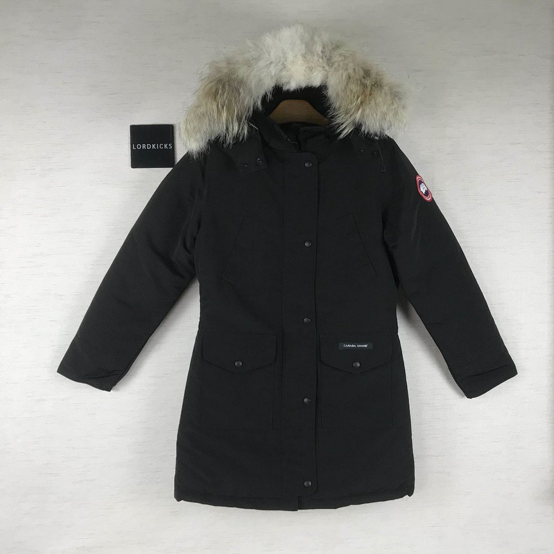 DE81 Canada Goose, photo 1