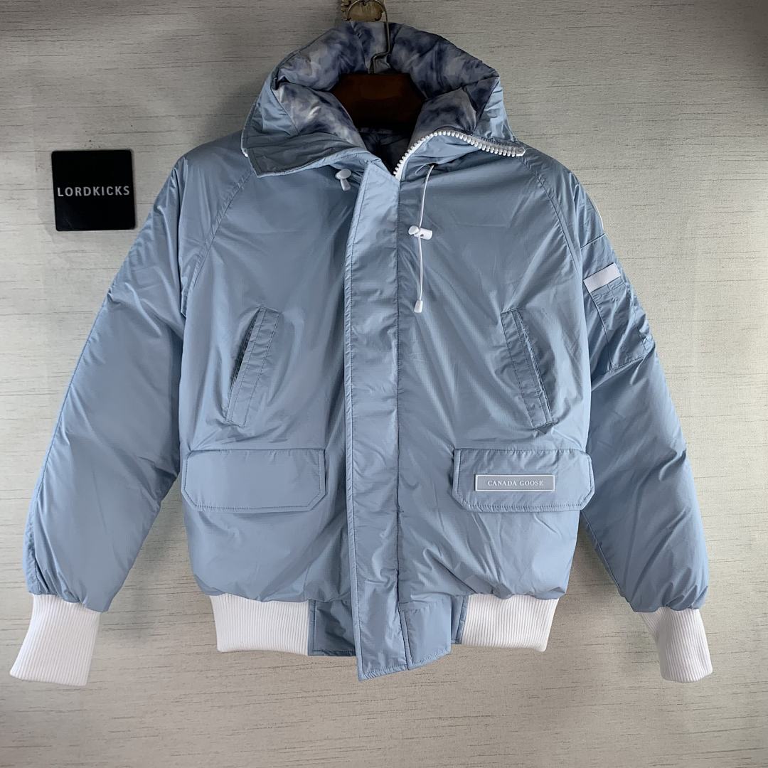DE261 Canada Goose, photo 1