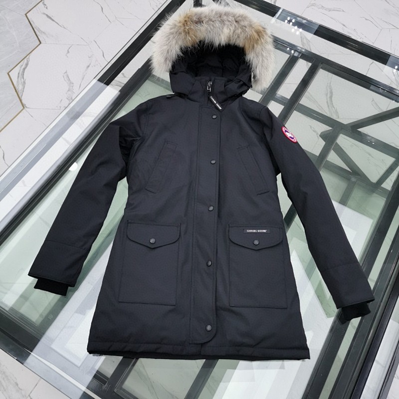 DE160 Canada Goose, photo 1