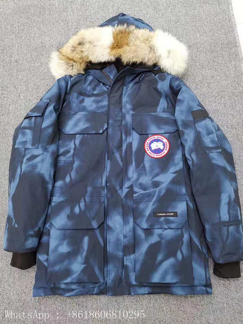 DE121 Canada Goose, photo 1