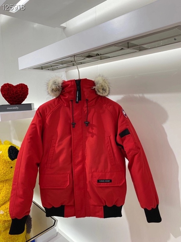 DE27 Canada Goose, photo 1