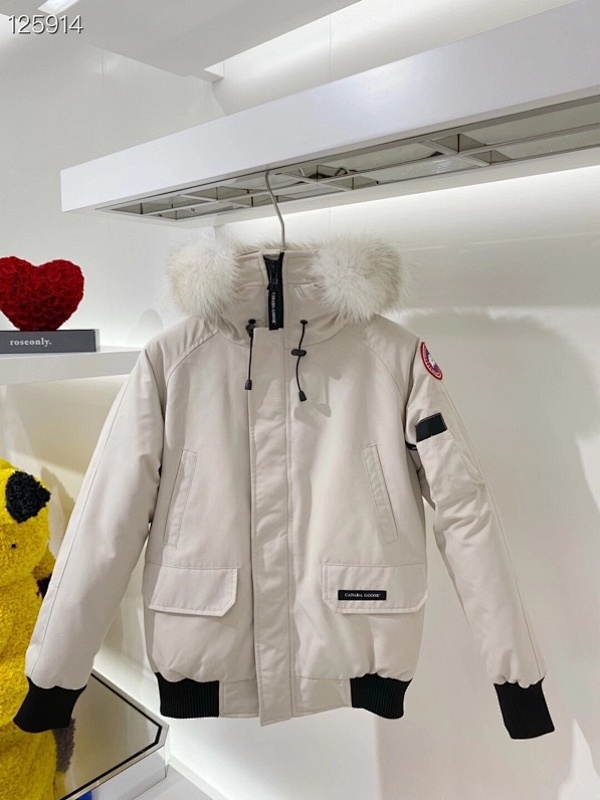 DE28 Canada Goose, photo 1