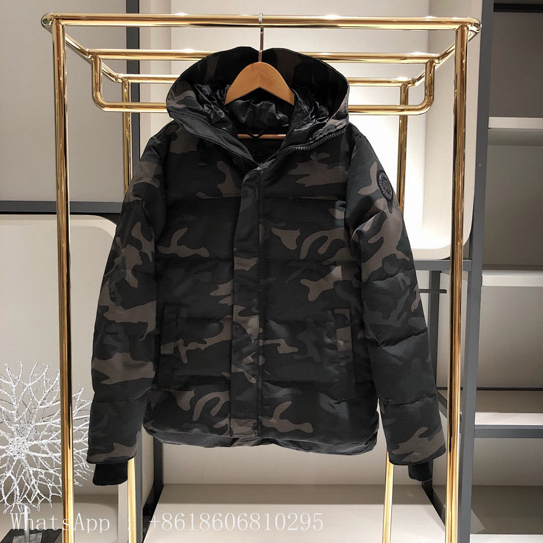 DE127 Canada Goose, photo 1