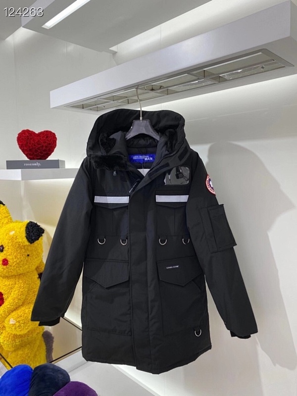 DE45 Canada Goose, photo 1