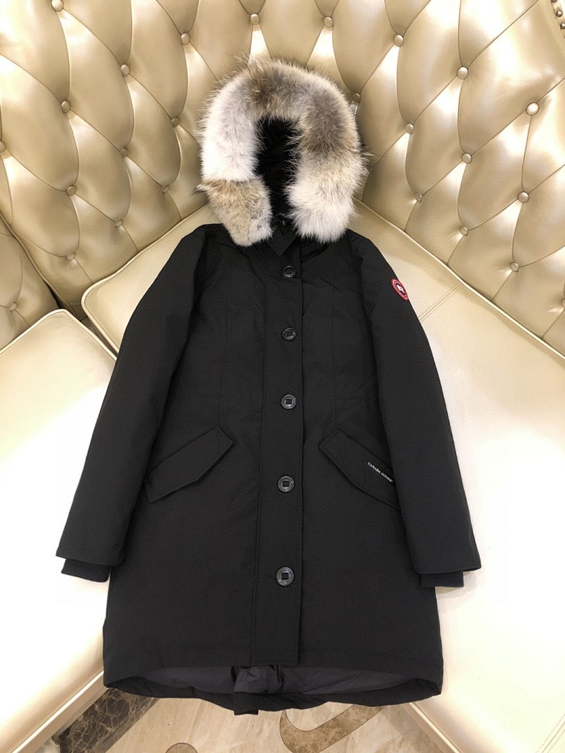 DE178 Canada Goose, photo 1