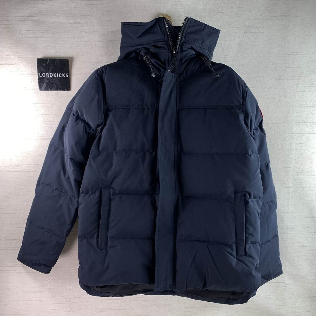 DE157 Canada Goose, photo 1