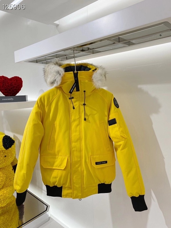DE31 Canada Goose, photo 1