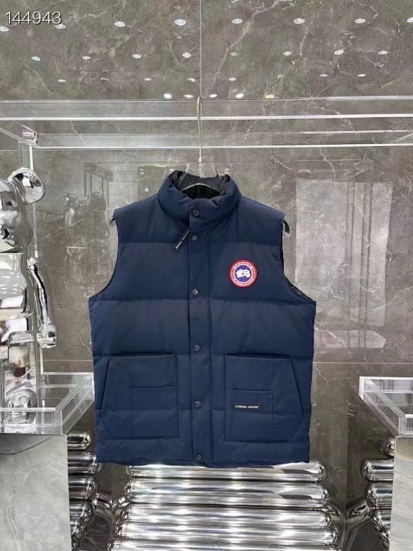 DE181 Canada Goose, photo 1