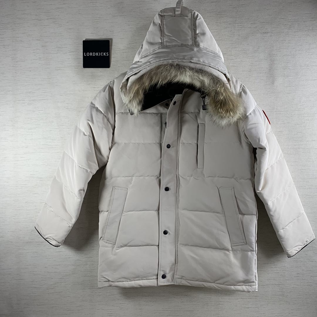 DE130 Canada Goose, photo 1