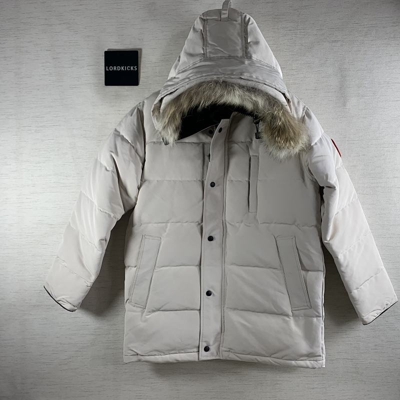 DE130 Canada Goose, photo 1