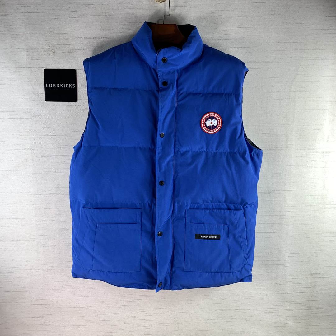 DE184 Canada Goose, photo 1