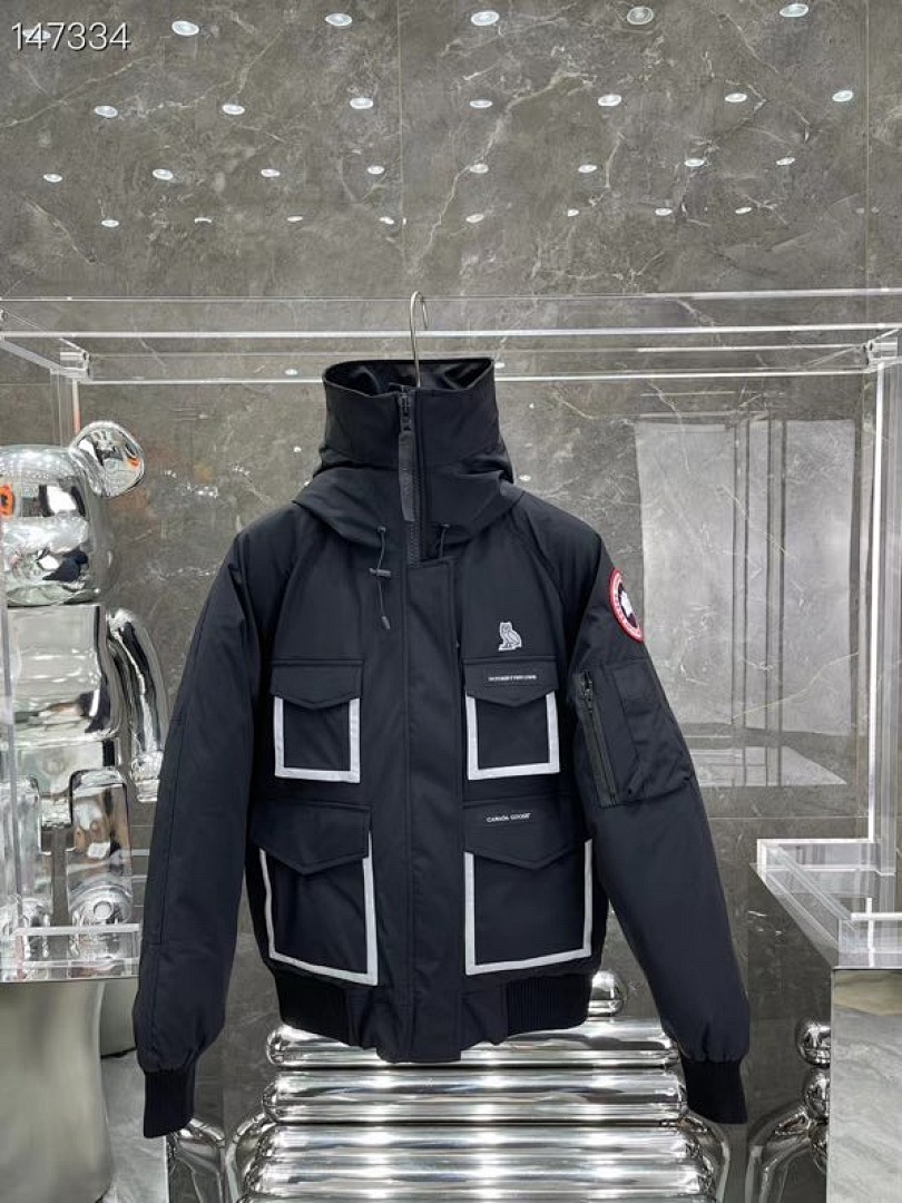 DE253 Canada Goose, photo 1