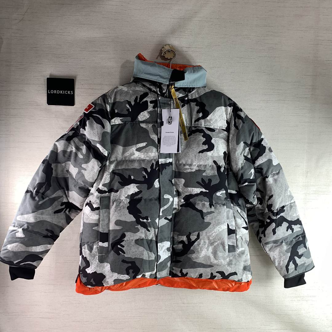 DE195 Canada Goose, photo 1