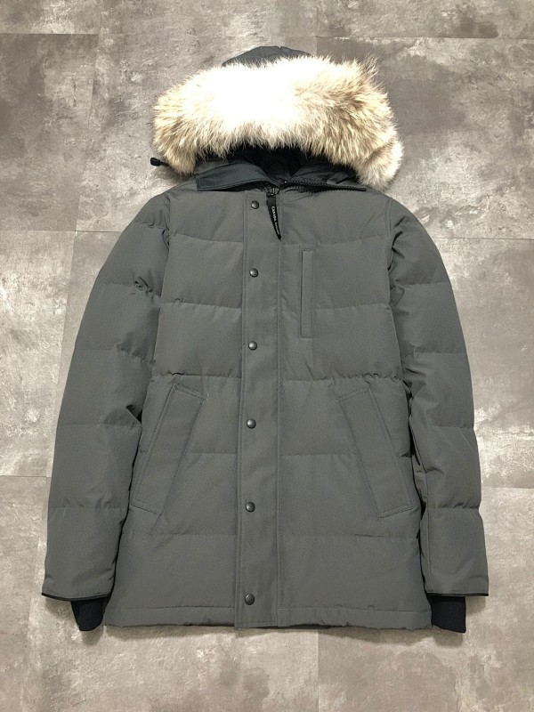 DE140 Canada Goose, photo 1