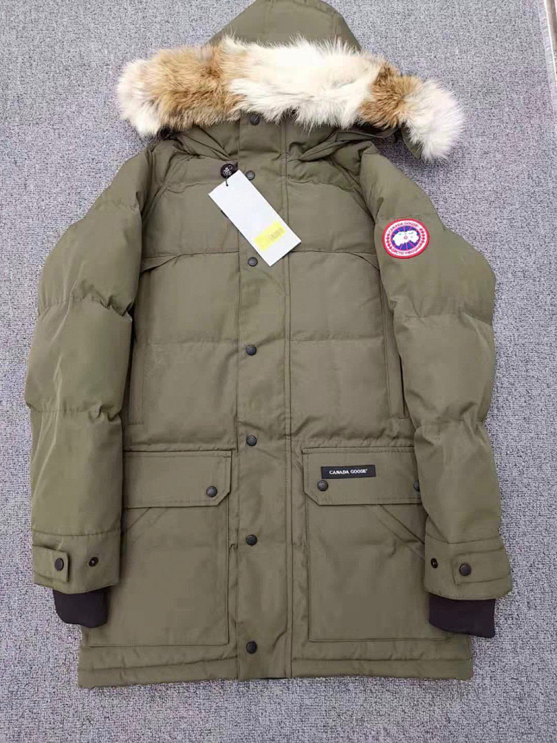 DE131 Canada Goose, photo 1