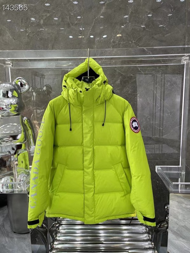 DE209 Canada Goose, photo 1