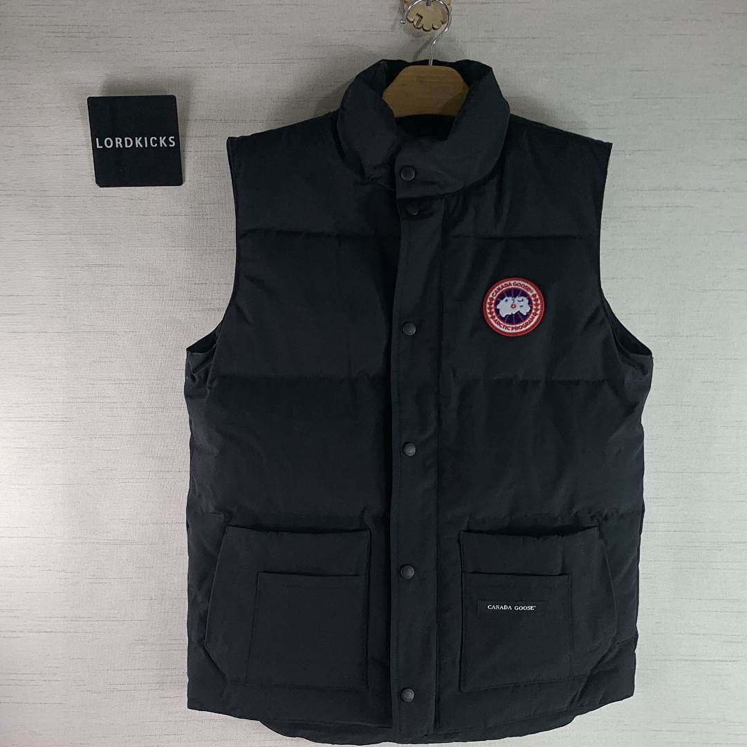 DE183 Canada Goose, photo 1