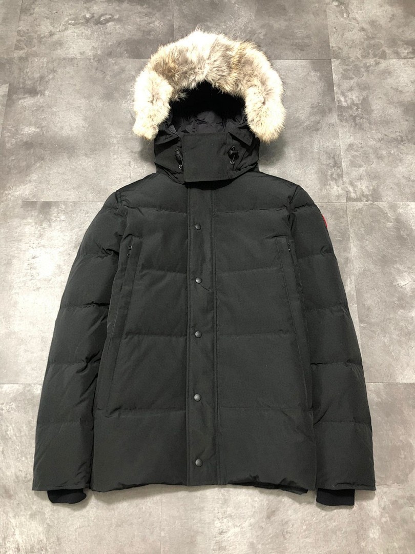 DE142 Canada Goose, photo 1