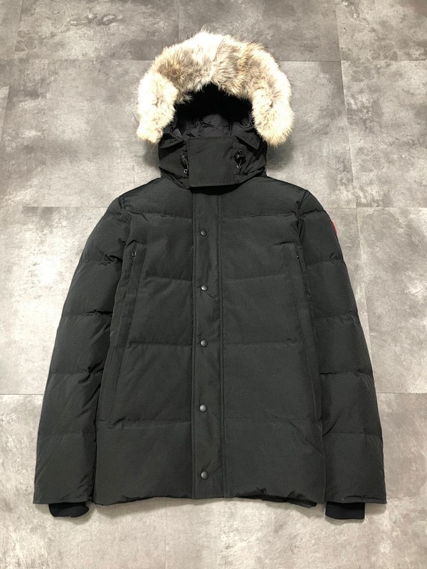 DE142 Canada Goose, photo 1