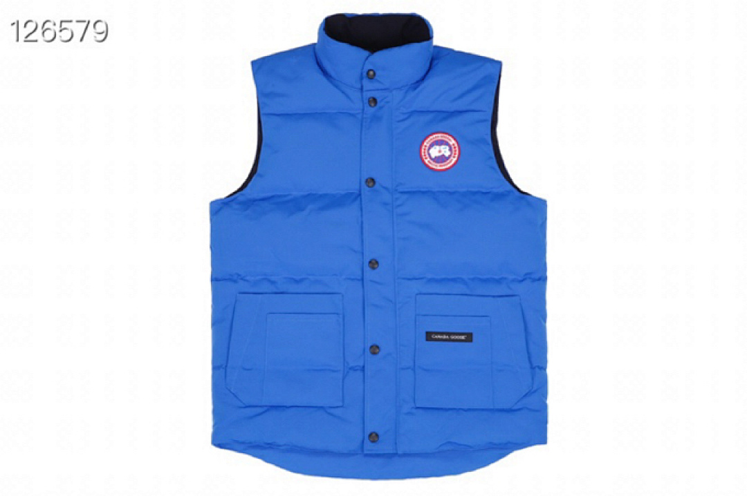 DE12 Canada Goose, photo 1