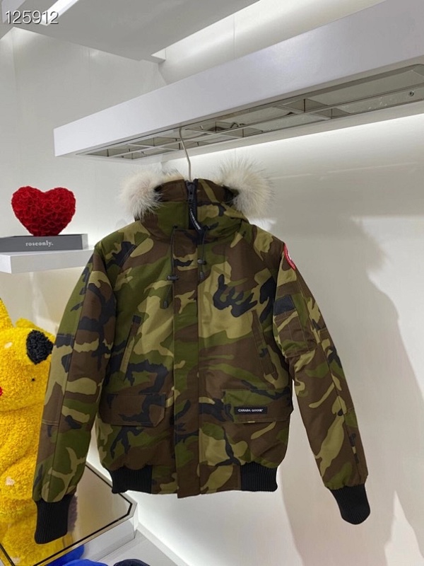 DE29 Canada Goose, photo 1