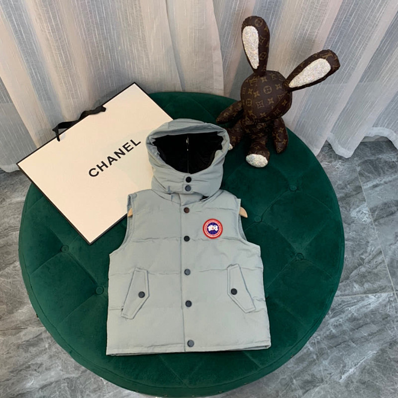 DE244 Canada Goose, photo 1