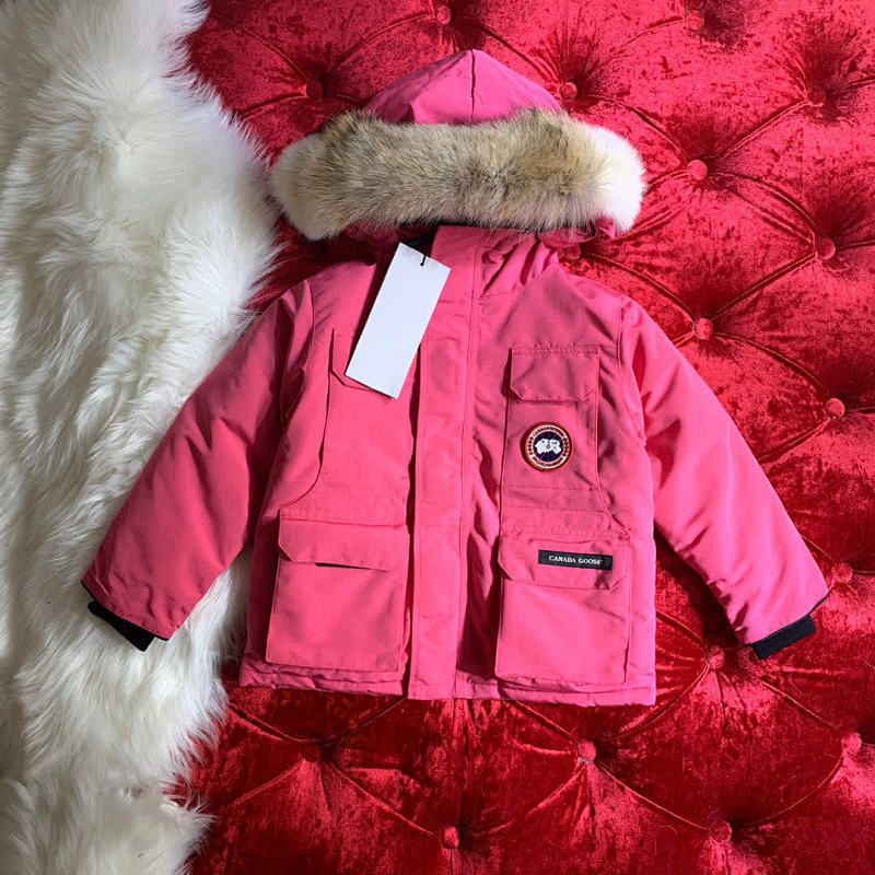 DE237 Canada Goose, photo 1