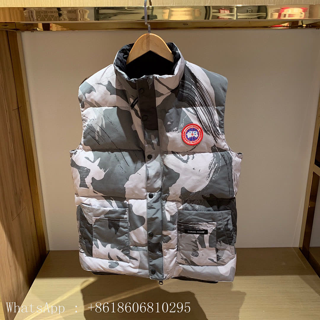 DE110 Canada Goose, photo 1