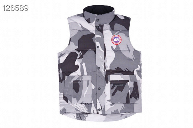 DE07 Canada Goose, photo 1