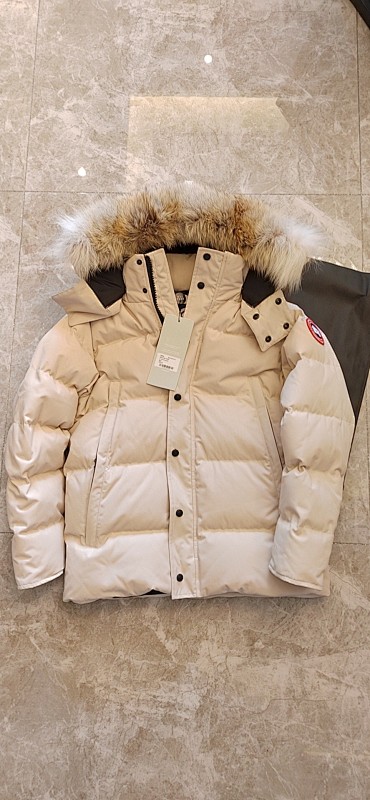 DE170 Canada Goose, photo 1