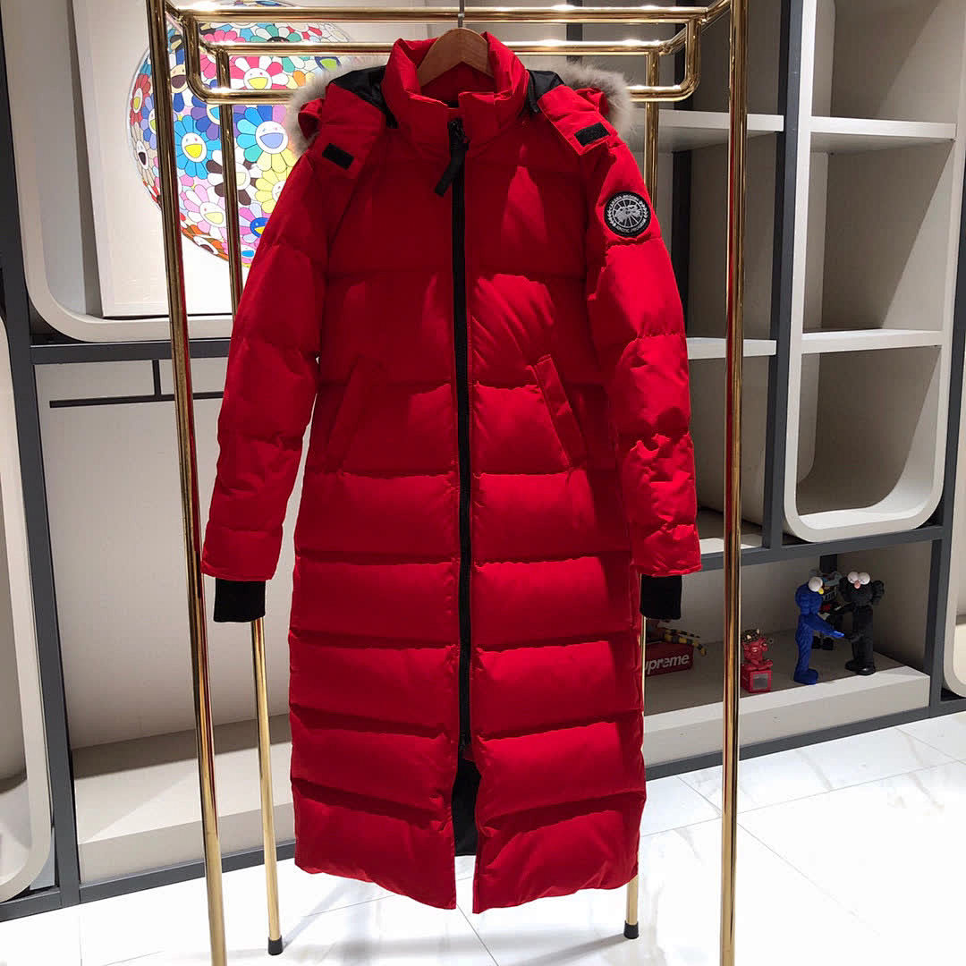 DE136 Canada Goose, photo 1