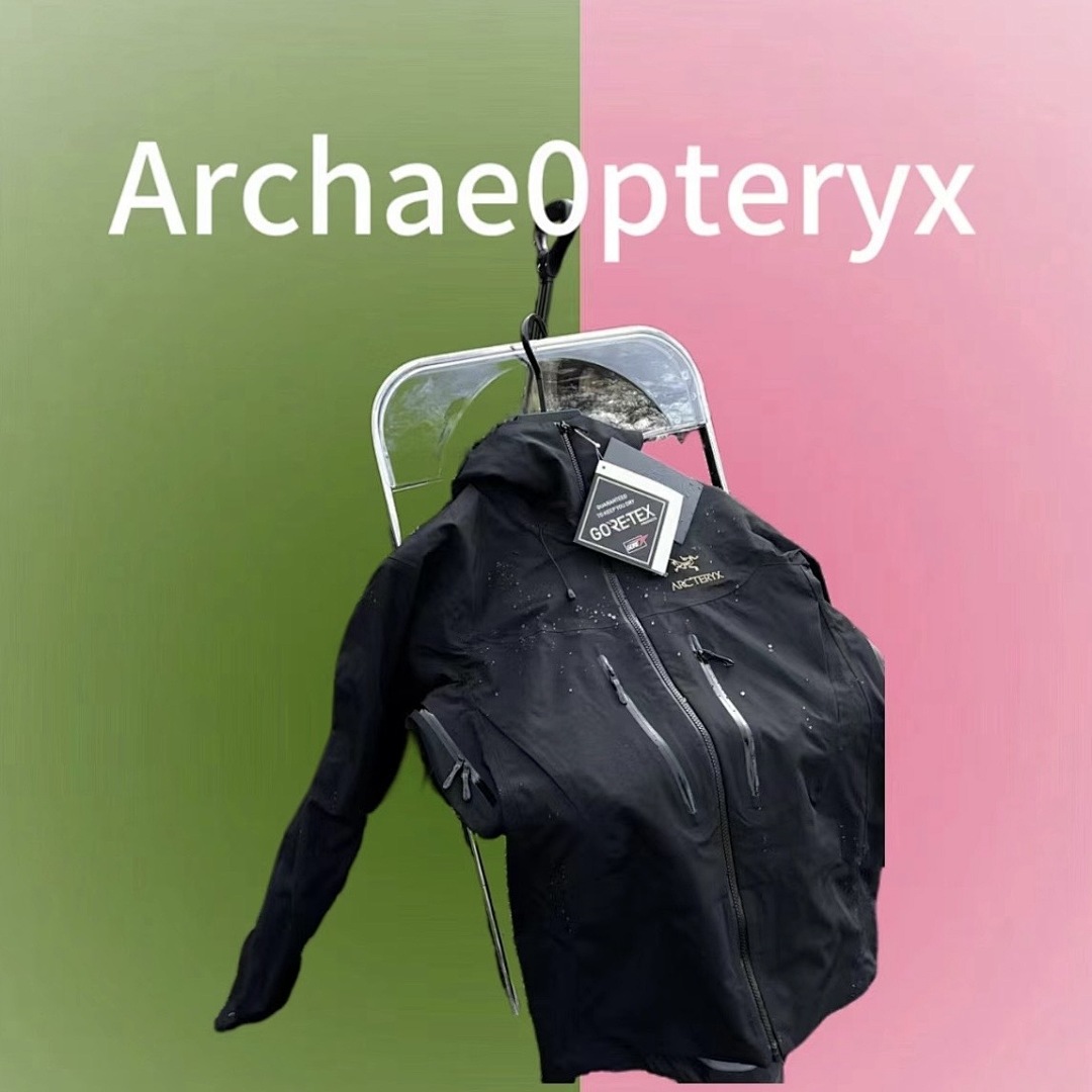Other Archae0Pteryx, photo 1