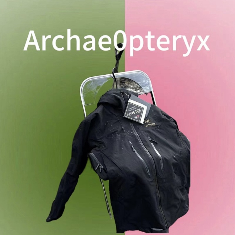 Other Archae0Pteryx, photo 1