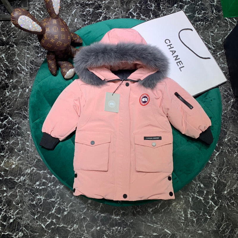 DE236 Canada Goose, photo 1