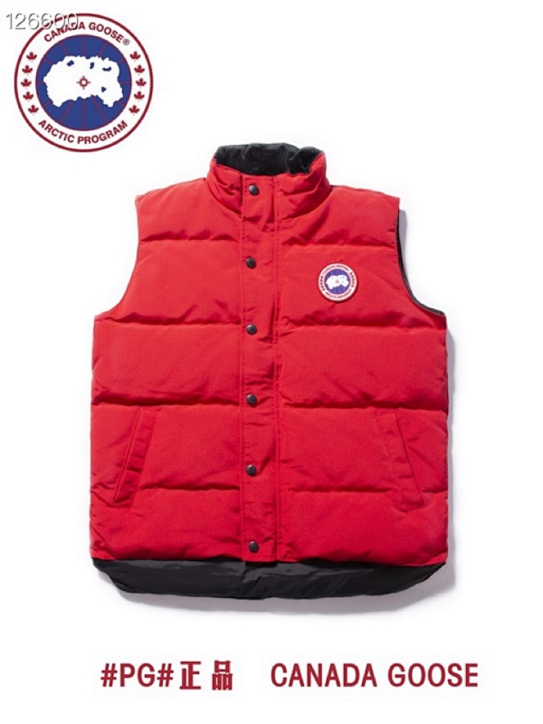 DE02 Canada Goose, photo 1