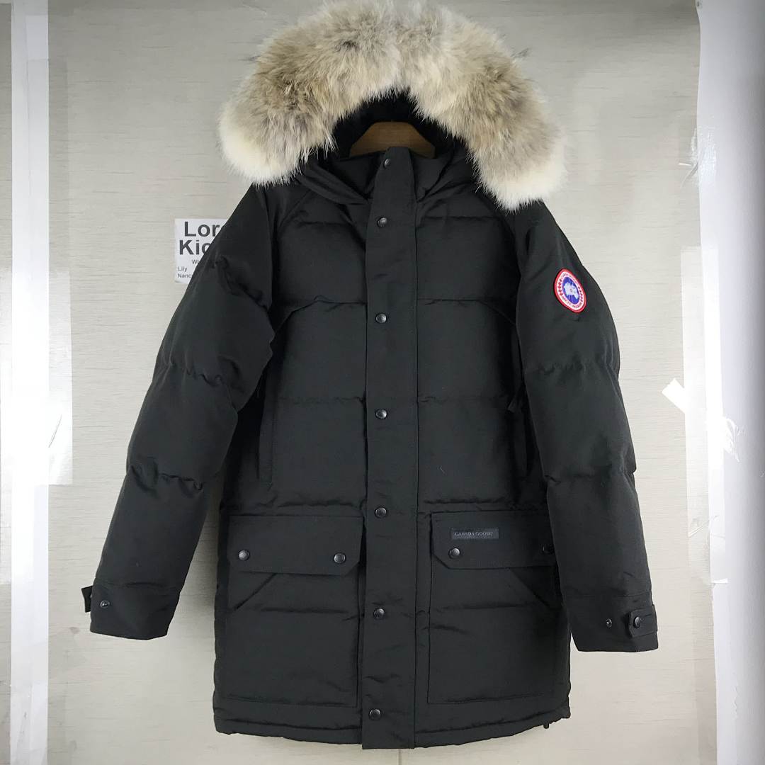 DE86 Canada Goose, photo 1