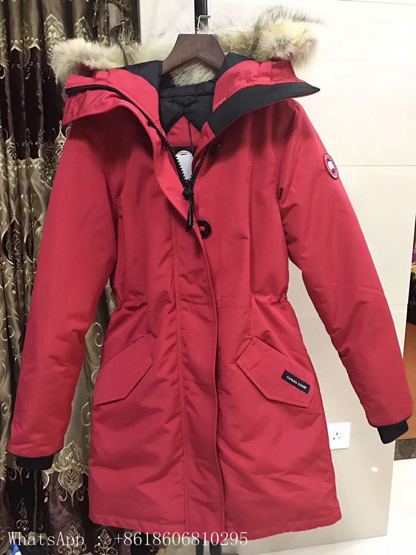 DE117 Canada Goose, photo 1