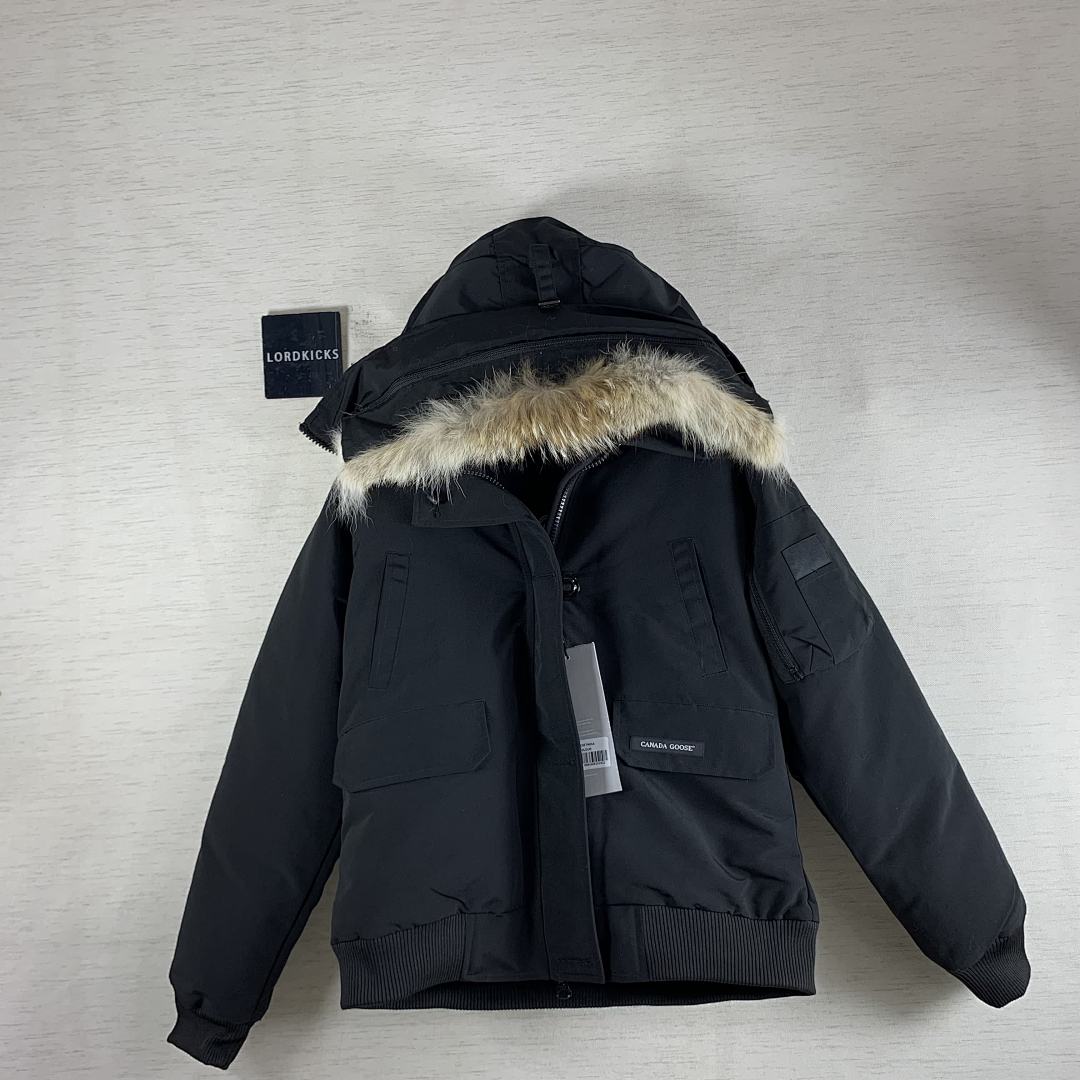 DE137 Canada Goose (Wome), photo 1