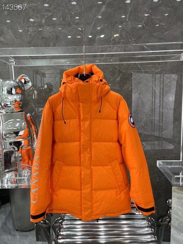 DE209 Canada Goose, photo 1