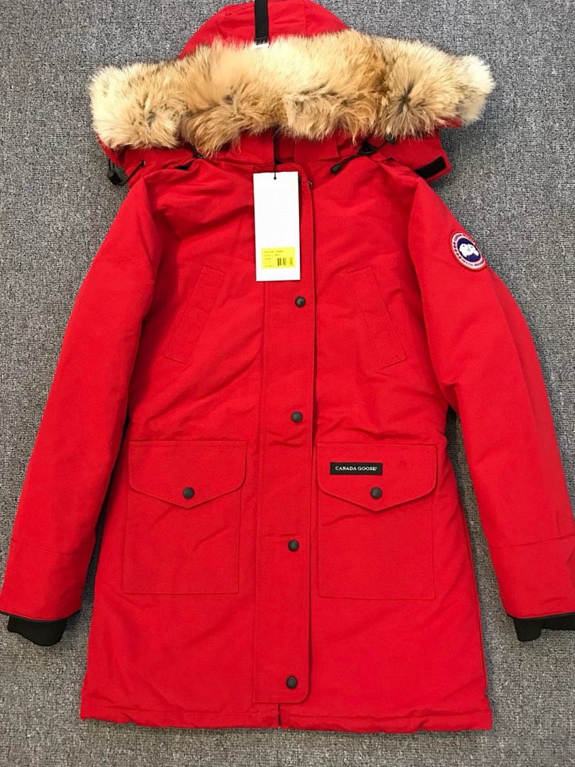 DE159 Canada Goose, photo 1