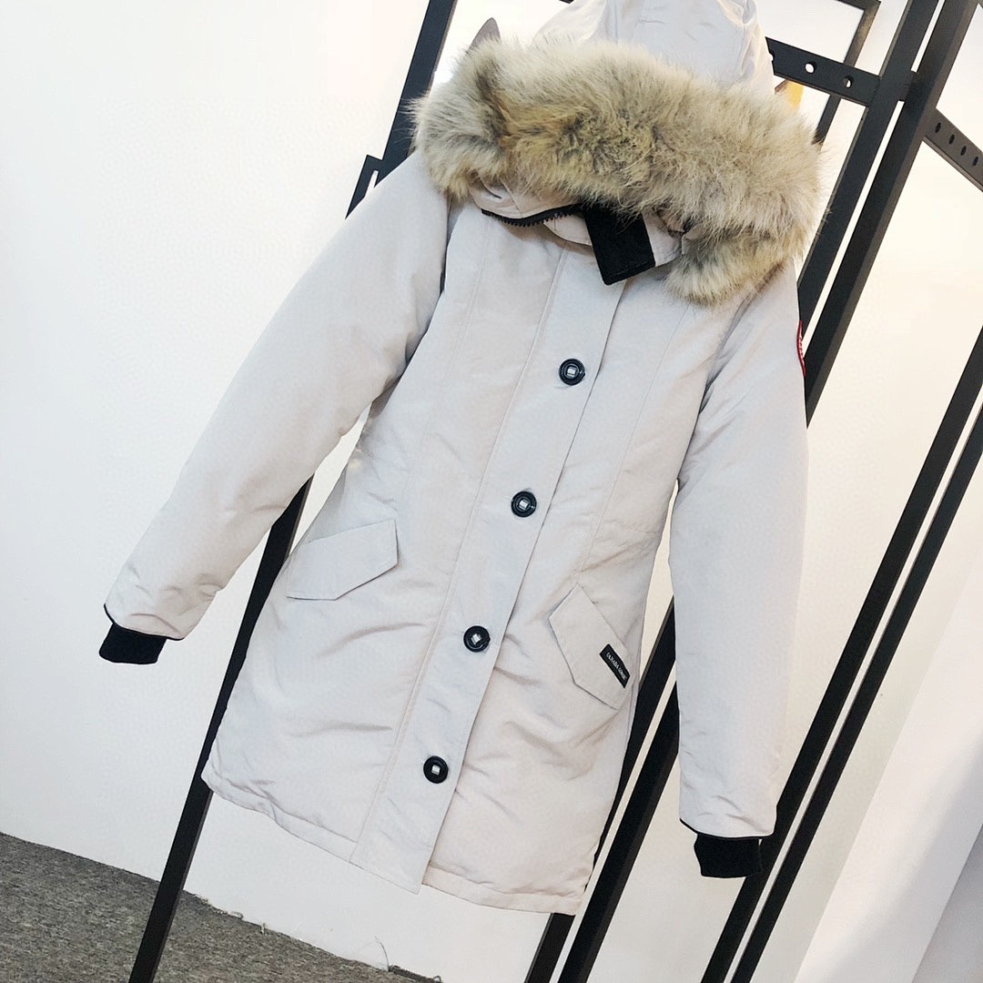 DE178 Canada Goose, photo 1