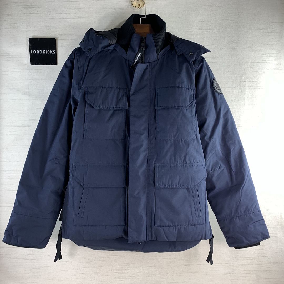 DE49 Canada Goose, photo 1