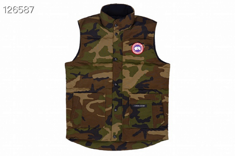 DE08 Canada Goose, photo 1