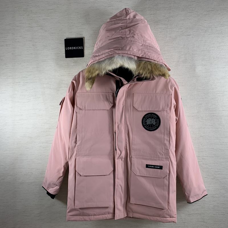 DE205 Canada Goose, photo 1