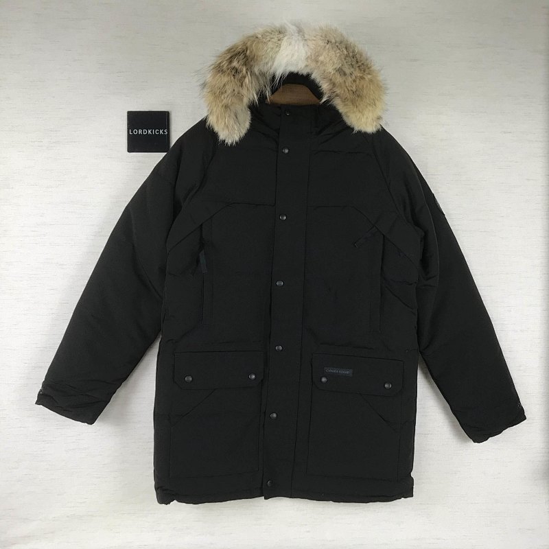 DE83 Canada Goose, photo 1
