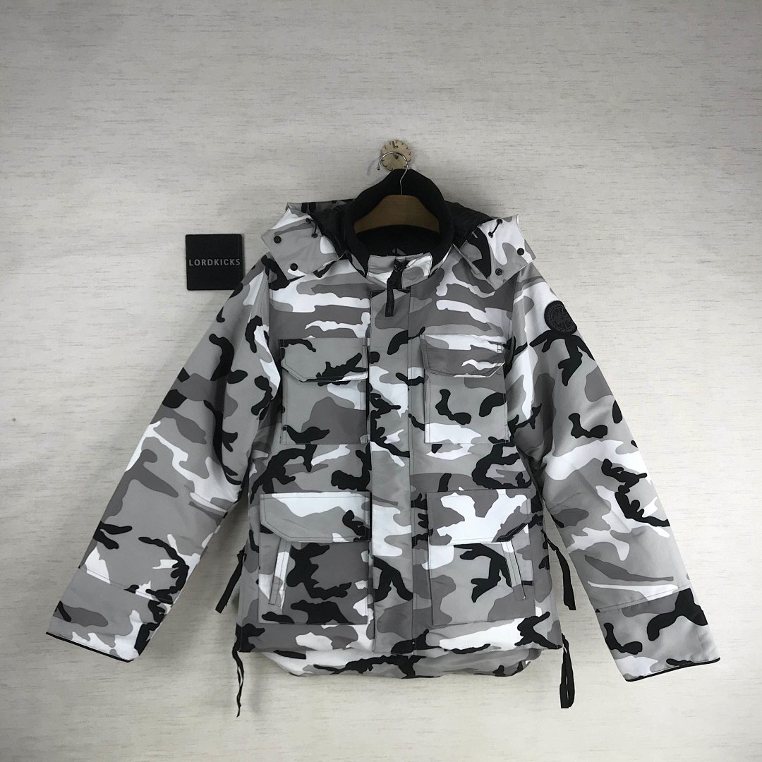 DE107 Canada Goose, photo 1
