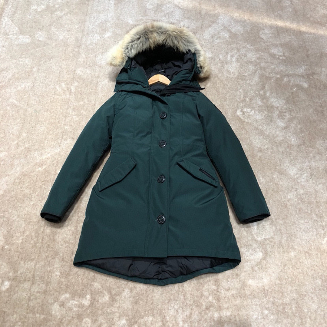 DE134 Canada Goose, photo 1